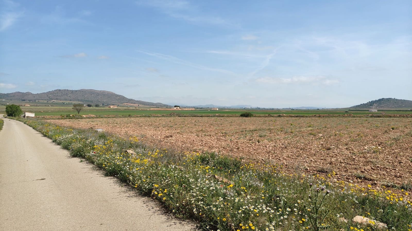 Finca/Landgut zu verkaufen in Yecla - 28.500 € (Ref: 9830620)