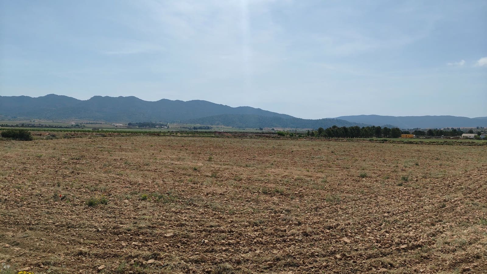 Finca/Landgut zu verkaufen in Yecla - 28.500 € (Ref: 9830620)