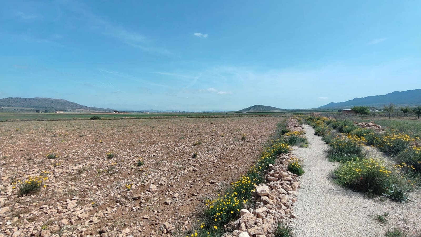 Finca/Landgut zu verkaufen in Yecla - 28.500 € (Ref: 9830620)
