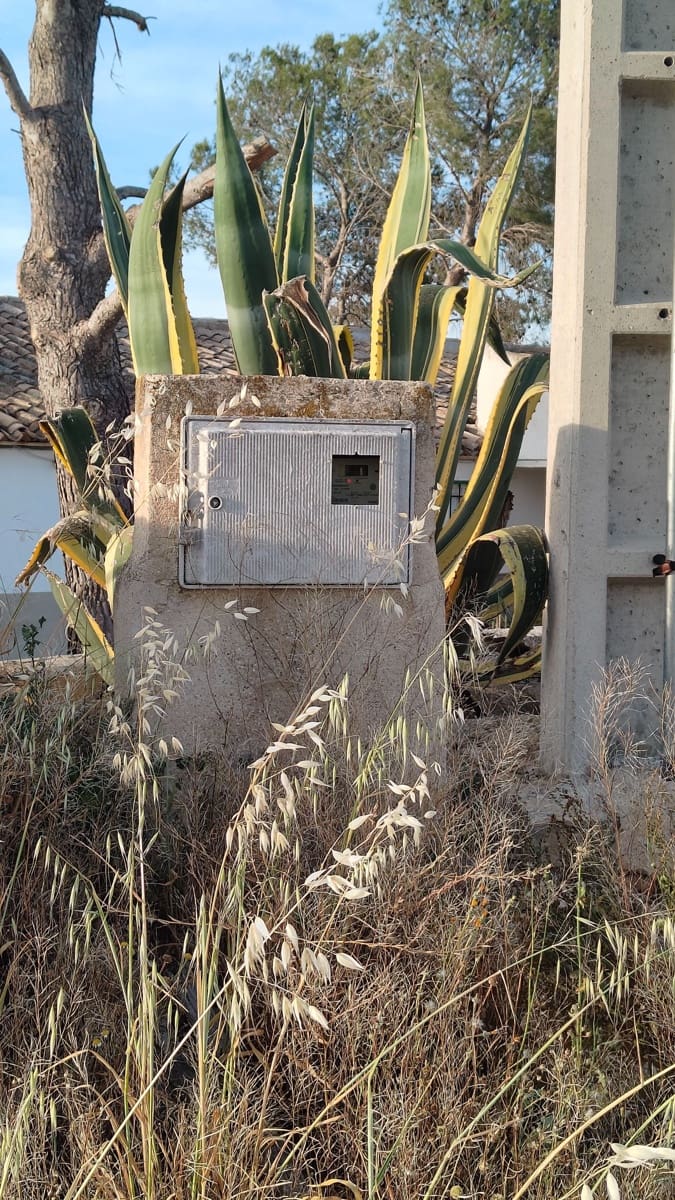 Finca/Country House for sale in Yecla - € 26,900 (Ref: 9895723)