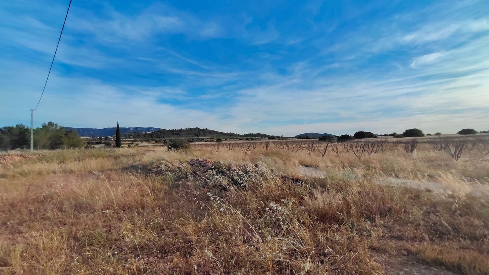 Finca/Country House for sale in Yecla - € 26,900 (Ref: 9895723)