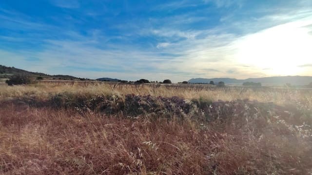 Finca/Country House for sale in Yecla - € 26,900 (Ref: 9895723)