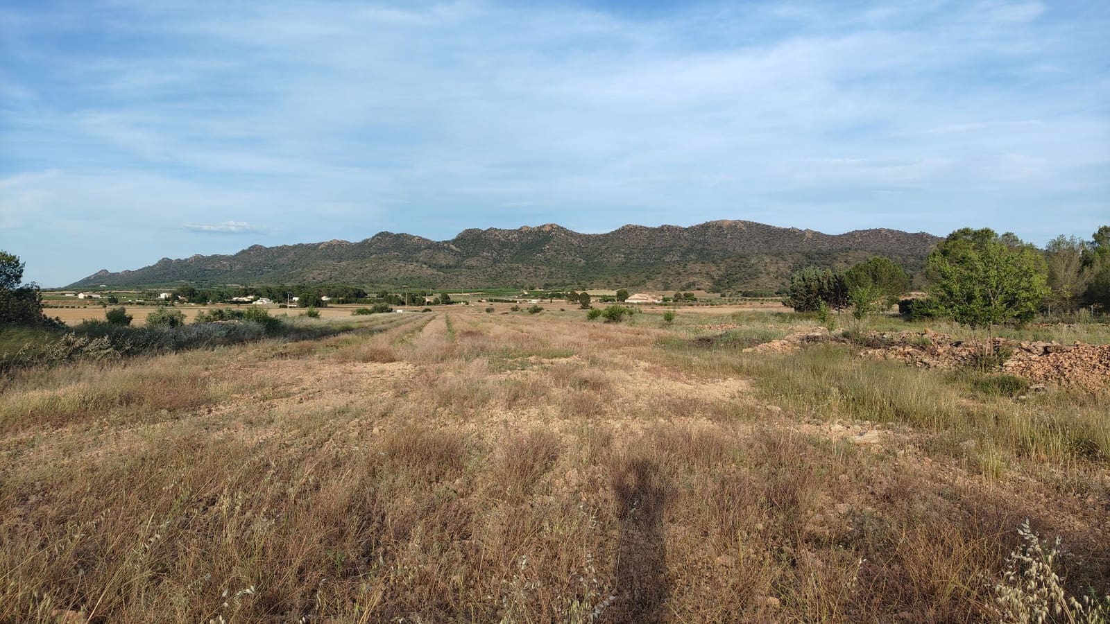 Finca/Country House for sale in Yecla - € 26,900 (Ref: 9895723)