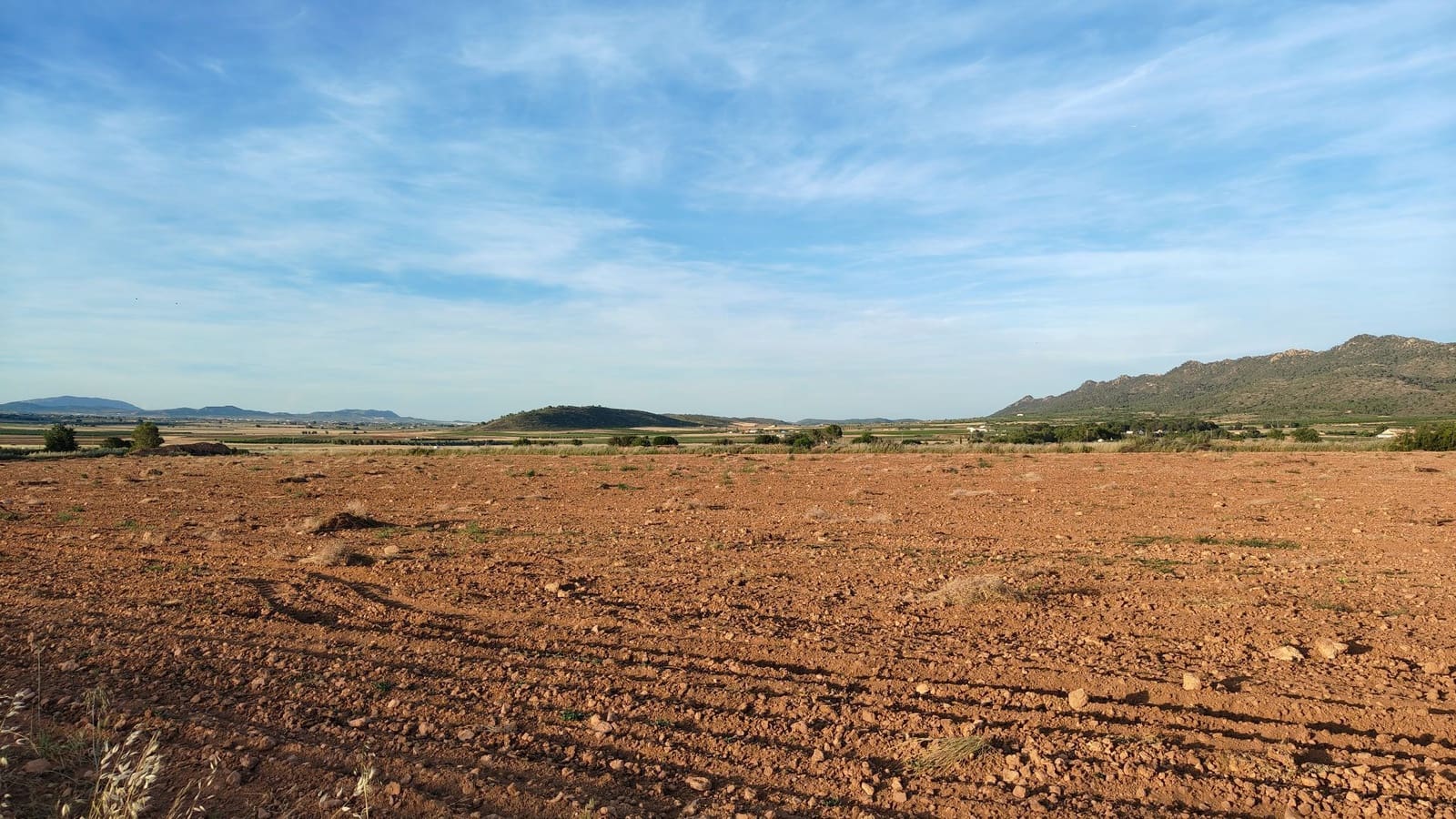 Maalaistalo myytävänä paikassa Yecla - 57 500 € (Ref: 9895724)