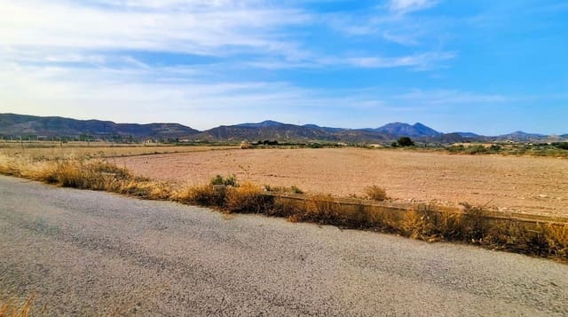 Finca/Country House for sale in Mahoya, Abanilla - € 49,900 (Ref: 9923186)