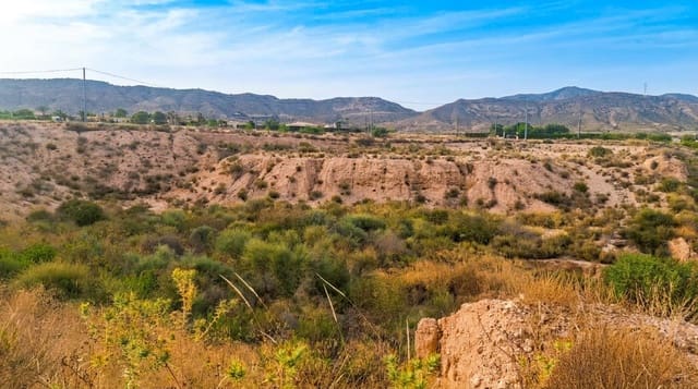 Finca/Country House for sale in Mahoya, Abanilla - € 49,900 (Ref: 9923186)
