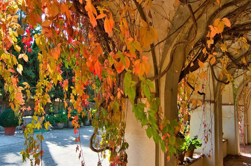 10 soverom Finca/Herregård til salgs i Alcoy / Alcoi med garasje - € 4 300 000 (Ref: 9865767)