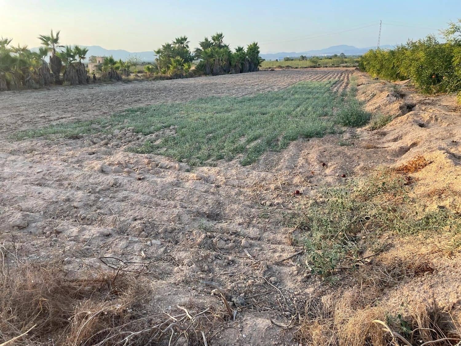 Landgrundstück zu verkaufen in La Hoya - 29.000 € (Ref: 9671008)