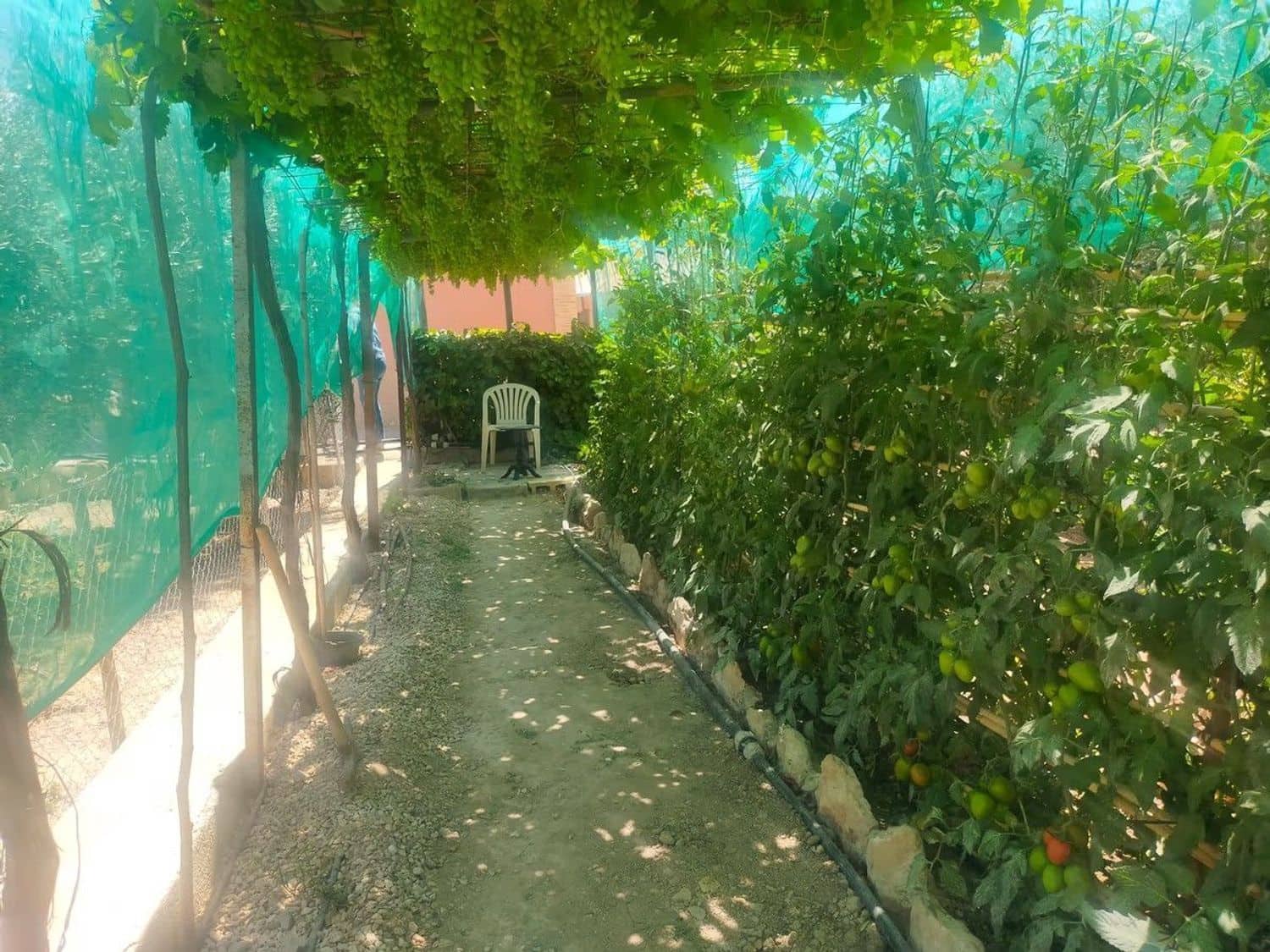 3 slaapkamer Villa te koop in Elche / Elx met zwembad garage - € 339.000 (Ref: 9671012)