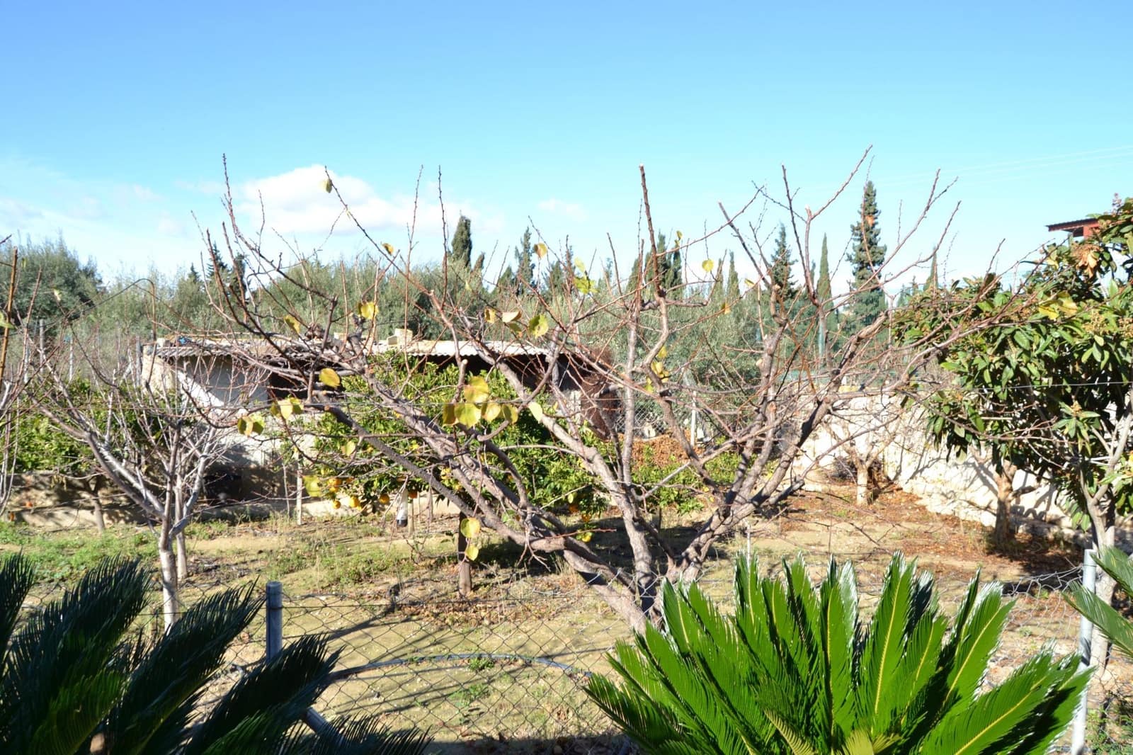 3 slaapkamer Villa te koop in Elche / Elx met zwembad garage - € 339.000 (Ref: 9671012)