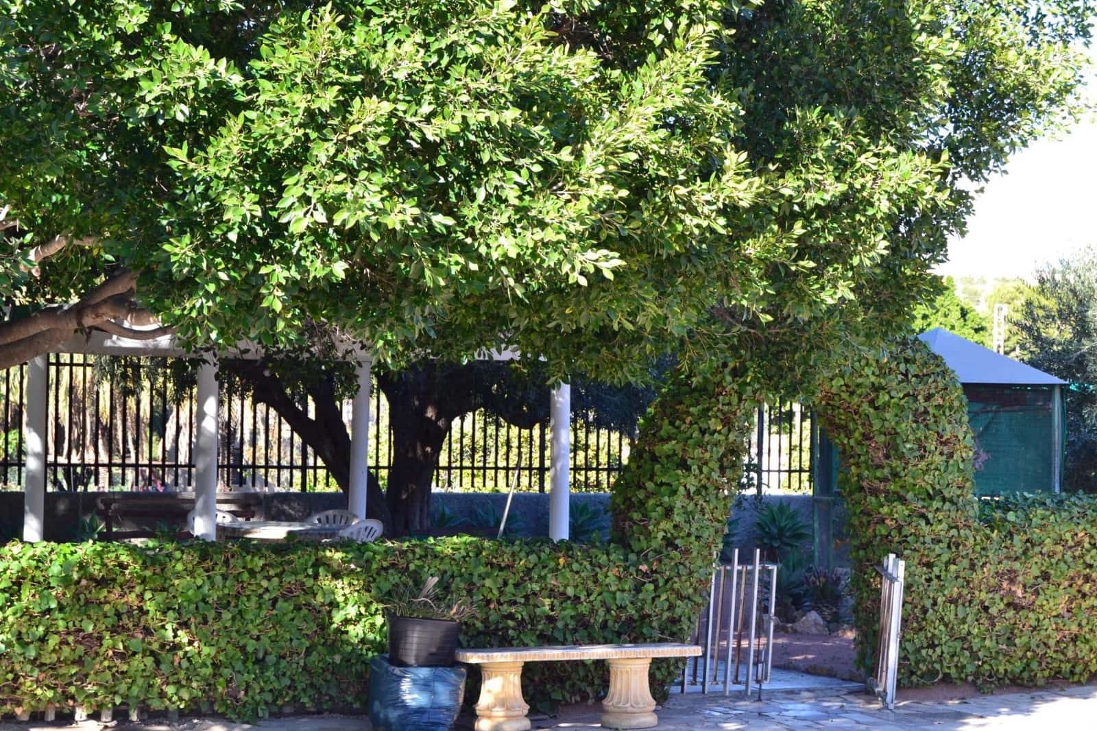 3 slaapkamer Villa te koop in Elche / Elx met zwembad garage - € 339.000 (Ref: 9671012)