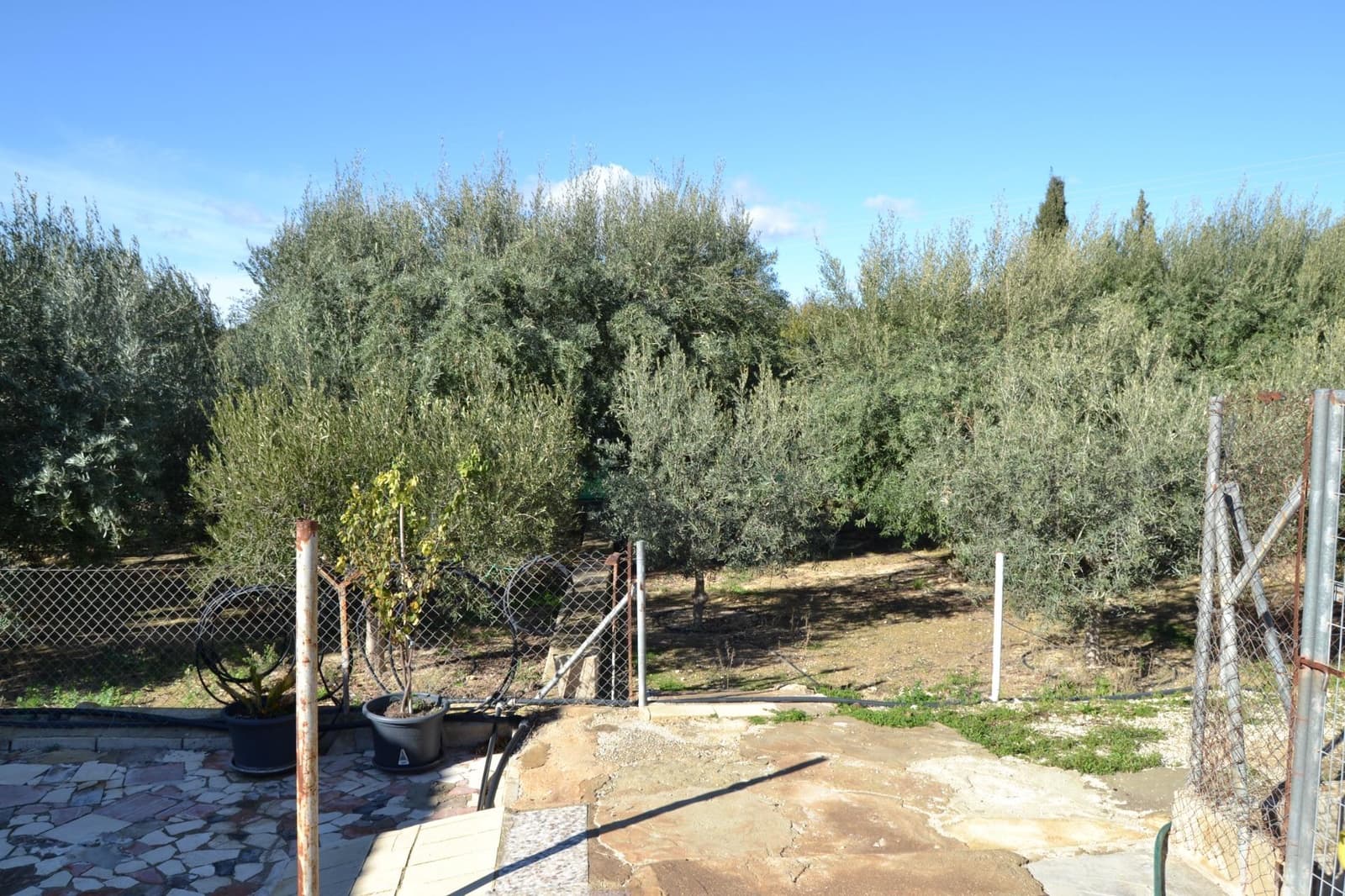 3 slaapkamer Villa te koop in Elche / Elx met zwembad garage - € 339.000 (Ref: 9671012)