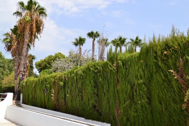 6 bedroom Villa for sale in Peña de las Águilas, Elche / Elx with pool garage - € 452,000 (Ref: 9671014)