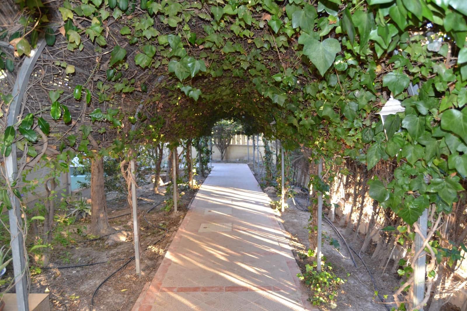 5 slaapkamer Villa te koop in San Fulgencio met zwembad garage - € 700.000 (Ref: 9671031)