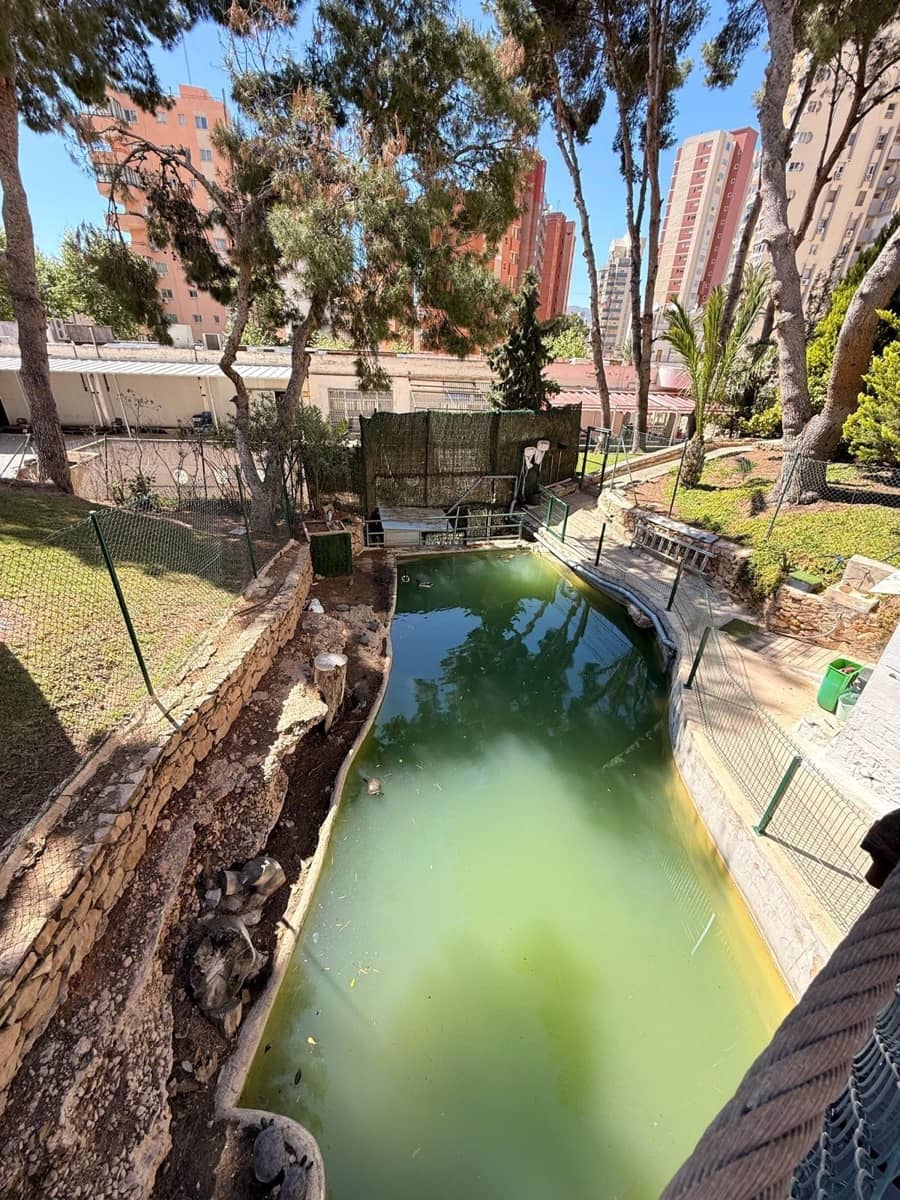 1 makuuhuone Asunto myytävänä paikassa Benidorm mukana uima-altaan 
autotalli - 279 000 € (Ref: 9791014)