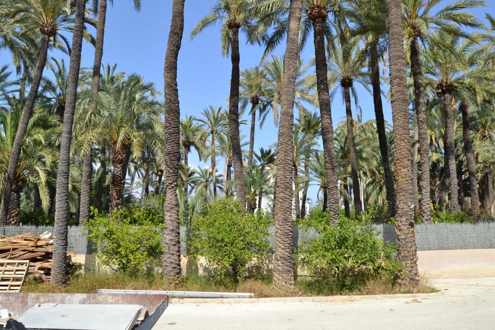 10 slaapkamer Villa te koop in Elche / Elx met zwembad garage - € 1.959.000 (Ref: 9811559)