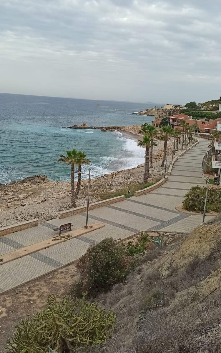 1 camera da letto Appartamento da affittare in La Villajoyosa / Vila Joiosa - 900 € (Rif: 10135729)