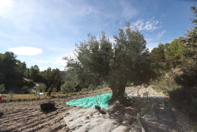 2 sypialnia Finka/Dom wiejski na sprzedaż w La Torre de les Macanes z garażem - 675 000 € (Ref: 9964913)