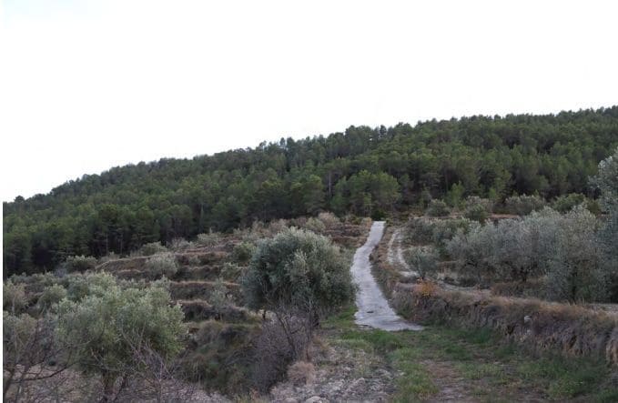 2 sypialnia Finka/Dom wiejski na sprzedaż w La Torre de les Macanes z garażem - 675 000 € (Ref: 9964913)