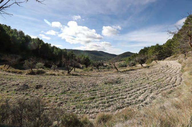 2 sypialnia Finka/Dom wiejski na sprzedaż w La Torre de les Macanes z garażem - 675 000 € (Ref: 9964913)