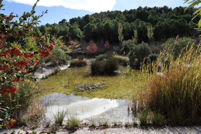 2 sypialnia Finka/Dom wiejski na sprzedaż w La Torre de les Macanes z garażem - 675 000 € (Ref: 9964913)