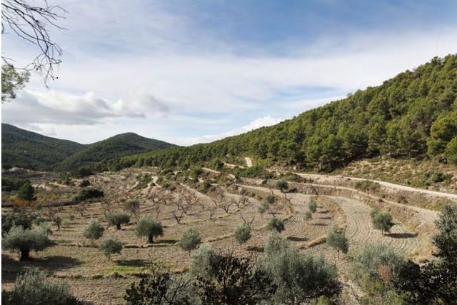 2 sypialnia Finka/Dom wiejski na sprzedaż w La Torre de les Maçanes, Torremanzanas z garażem - 675 000 € (Ref: 9964913)