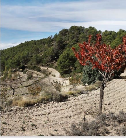 2 sypialnia Finka/Dom wiejski na sprzedaż w La Torre de les Maçanes, Torremanzanas z garażem - 675 000 € (Ref: 9964913)