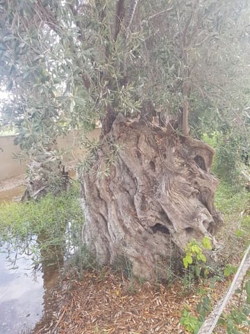 Terreno Não Urbanizado para venda em La Villajoyosa / Vila Joiosa - 115 000 € (Ref: 9964922)