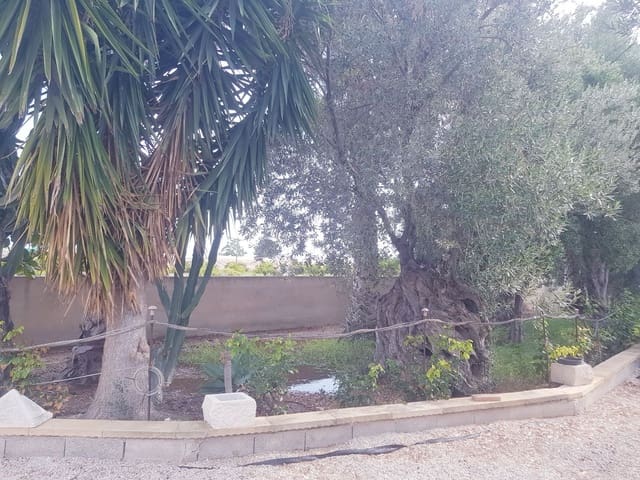 Terreno Não Urbanizado para venda em La Villajoyosa / Vila Joiosa - 115 000 € (Ref: 9964922)