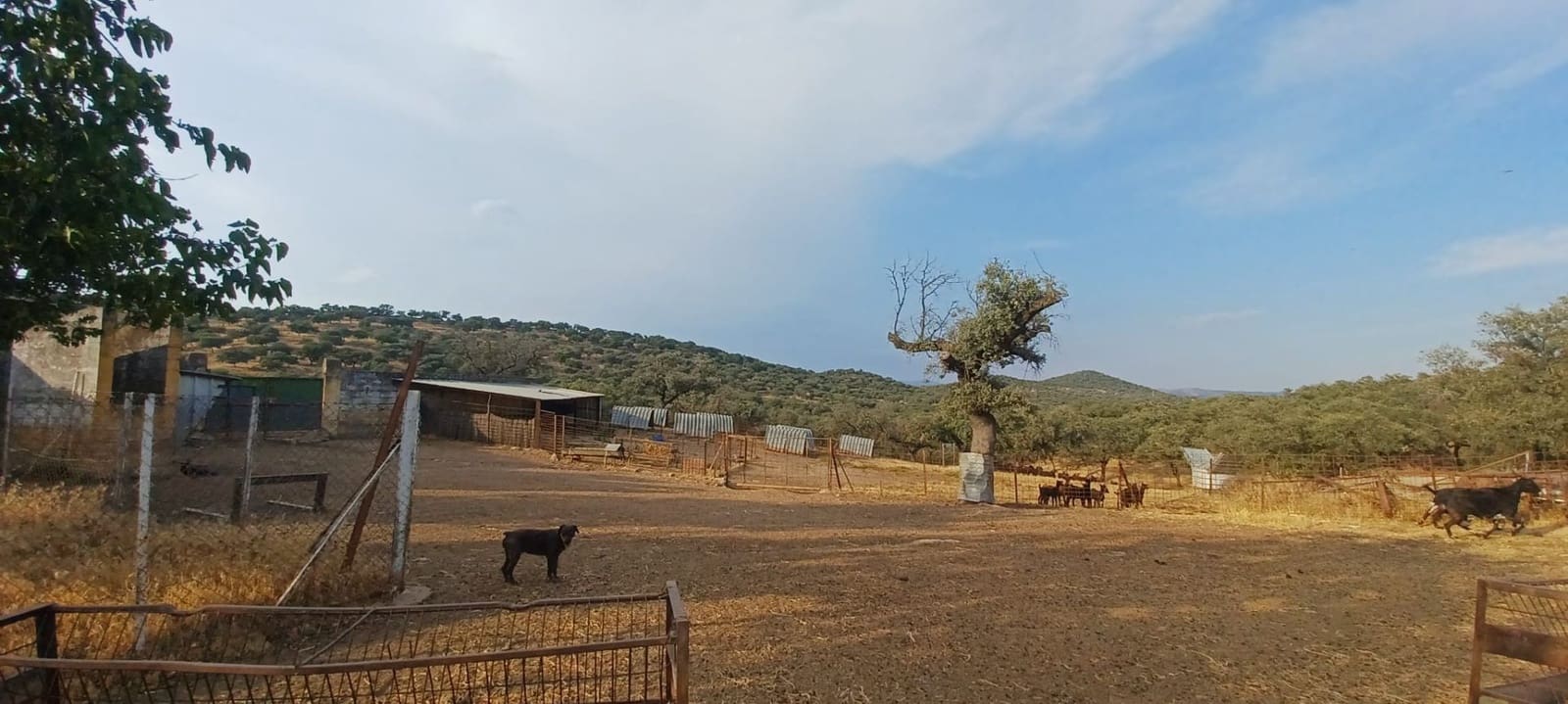 Finca/Landhuis te koop in Santa Olalla del Cala met garage - € 1.000.000 (Ref: 10080374)