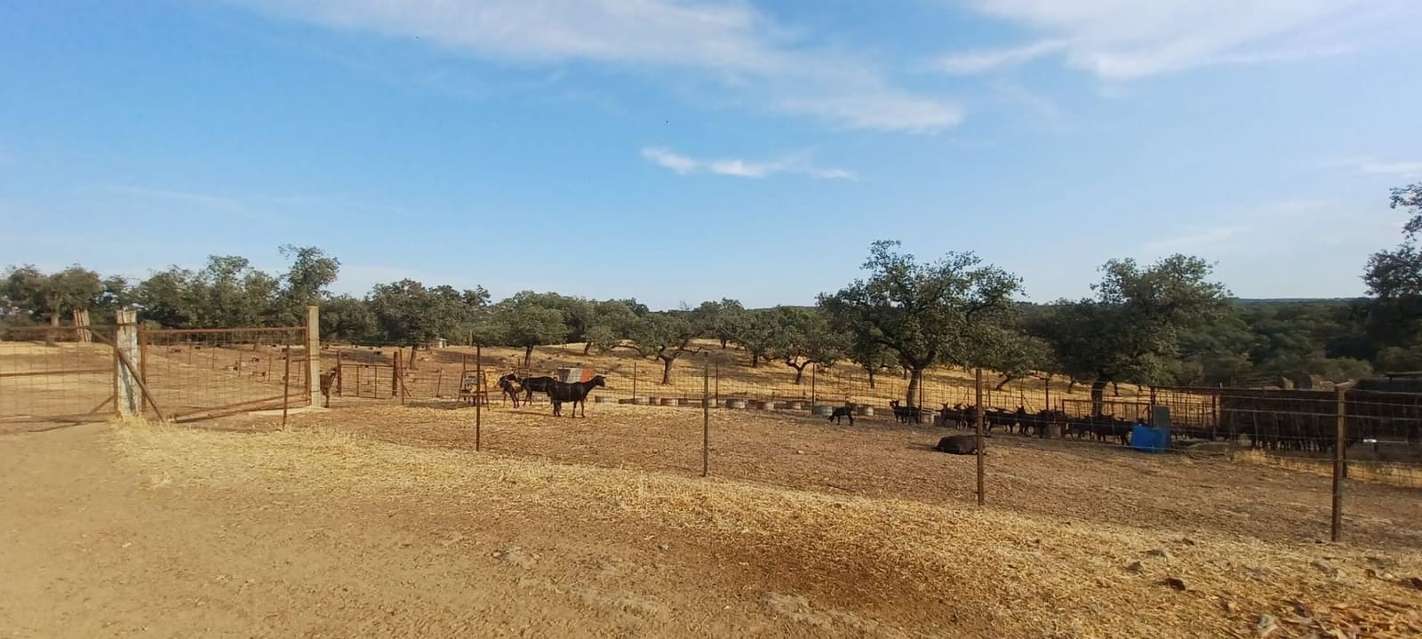 Finca/Landhuis te koop in Santa Olalla del Cala met garage - € 1.000.000 (Ref: 10080374)