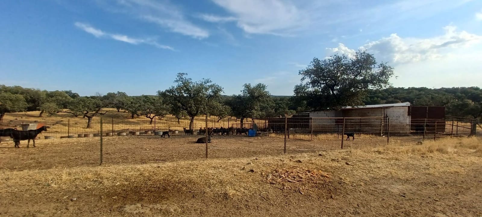 Finca/Landhuis te koop in Santa Olalla del Cala met garage - € 1.000.000 (Ref: 10080374)
