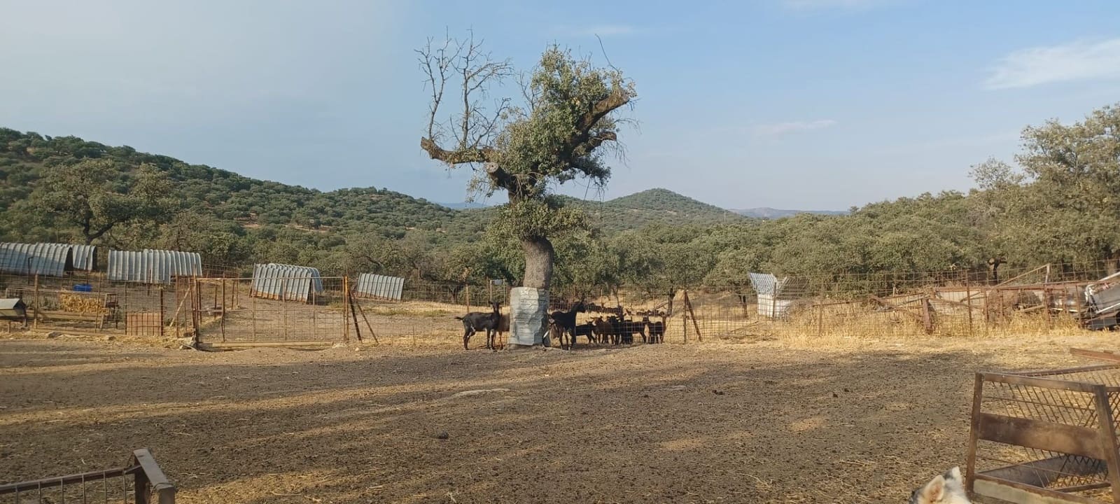 Finca/Landhuis te koop in Santa Olalla del Cala met garage - € 1.000.000 (Ref: 10080374)