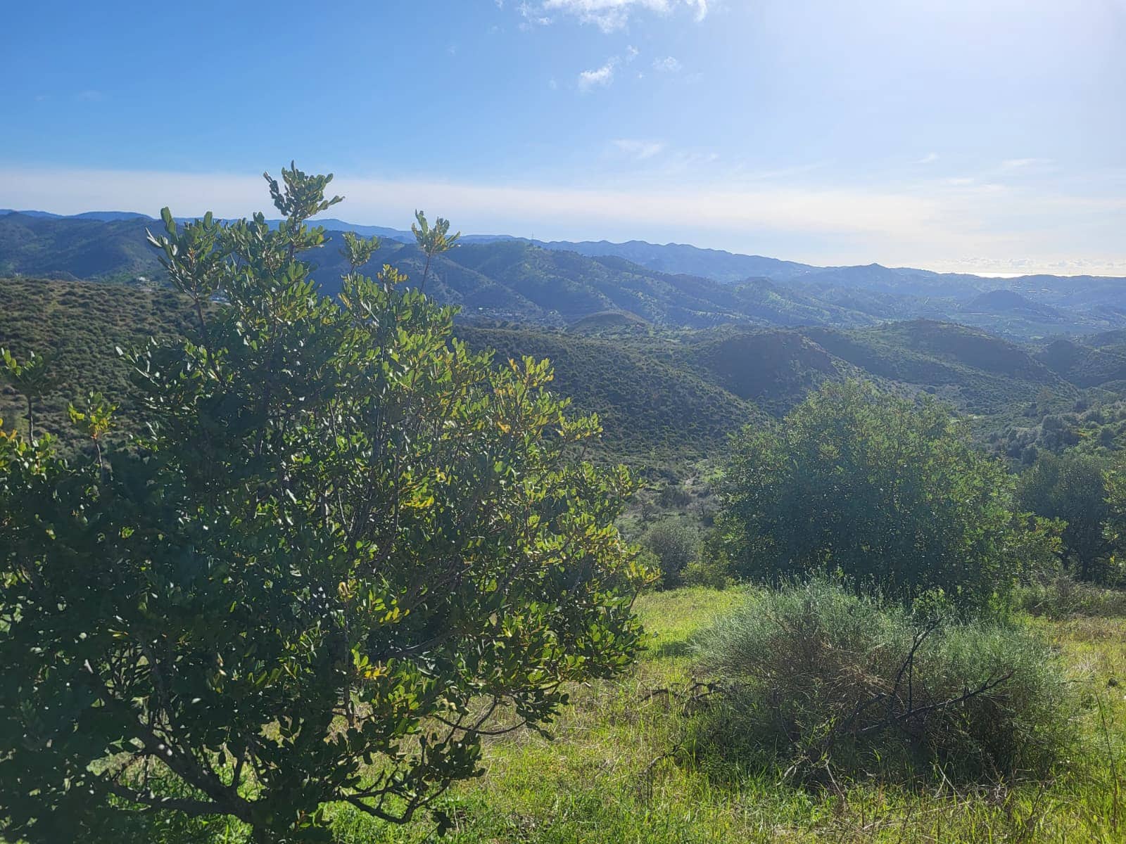 Finca/Casa di Campagna in vendita in Almogia - 85.000 € (Rif: 10175359)