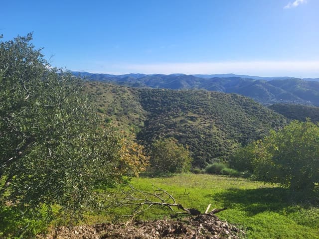 Quinta/Casa Rural para venda em Almogía - 85 000 € (Ref: 10175359)