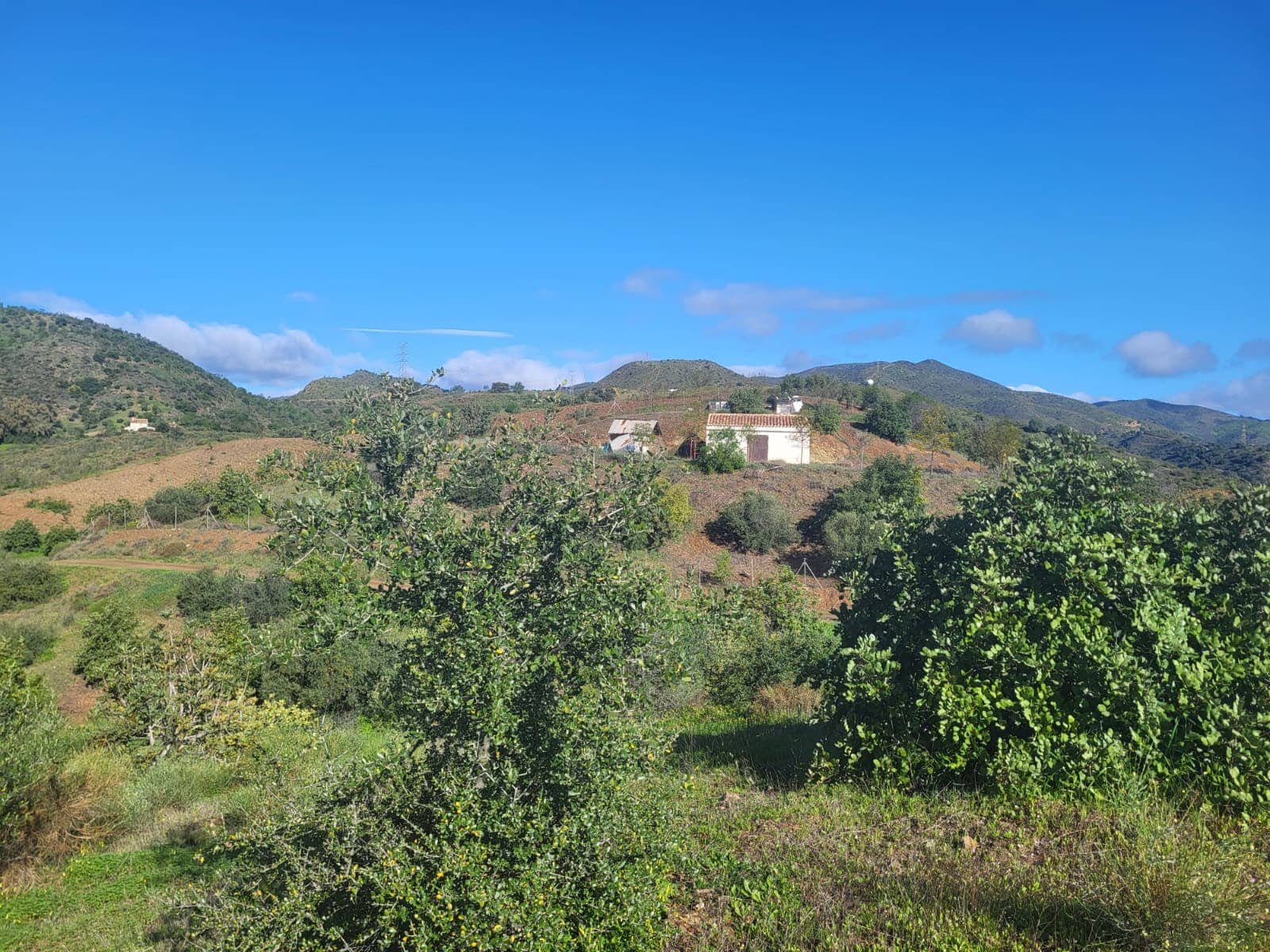 Finca/Casa di Campagna in vendita in Almogia - 85.000 € (Rif: 10175359)