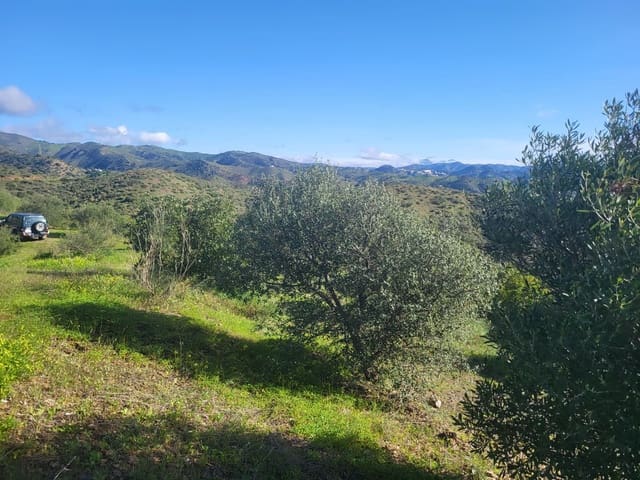 Quinta/Casa Rural para venda em Almogía - 85 000 € (Ref: 10175359)