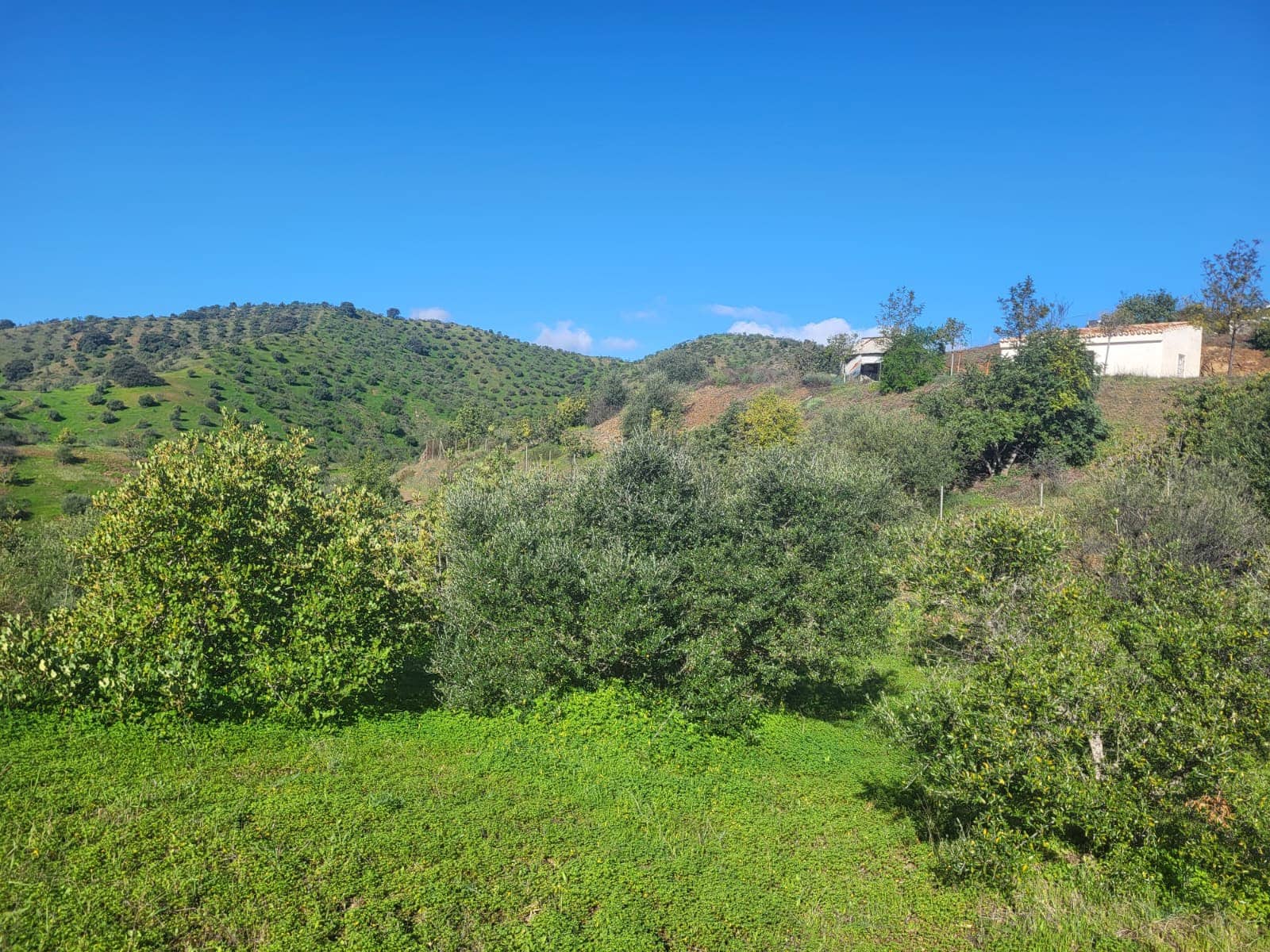 Finca/Casa di Campagna in vendita in Almogia - 85.000 € (Rif: 10175359)