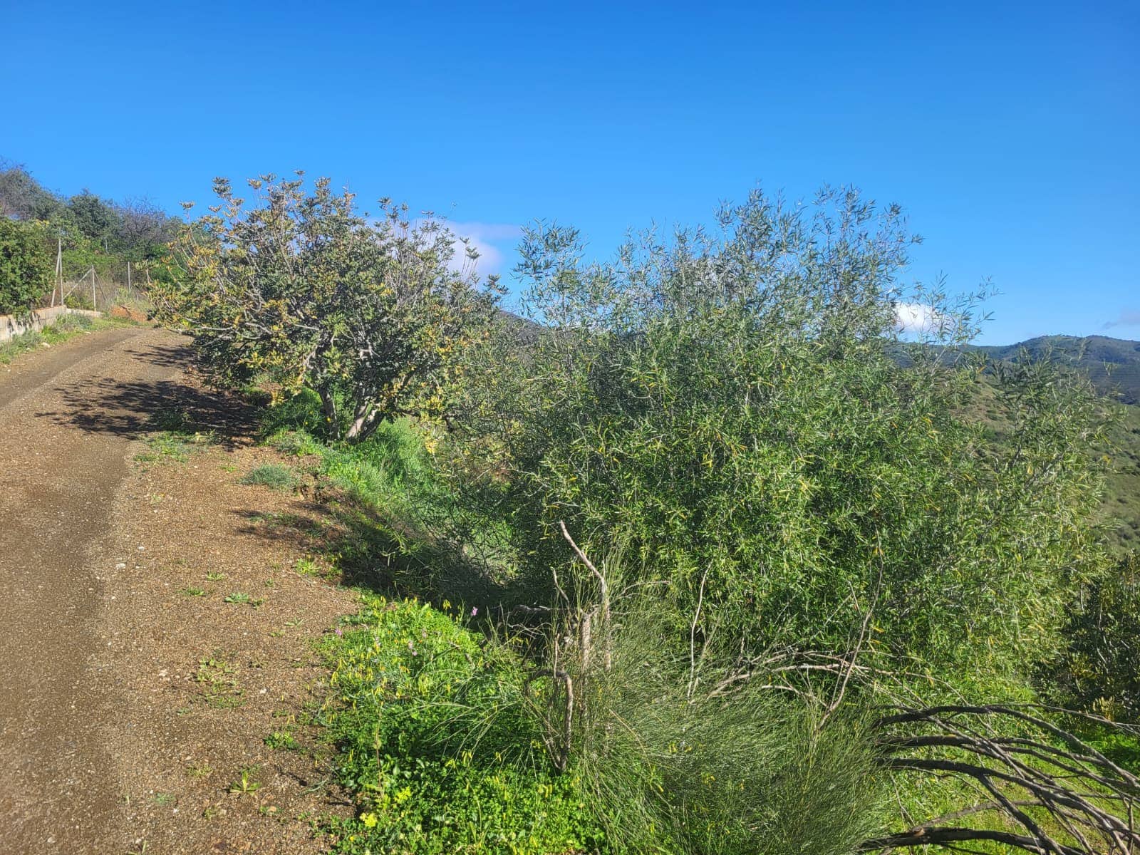 Finca/Casa di Campagna in vendita in Almogia - 85.000 € (Rif: 10175359)