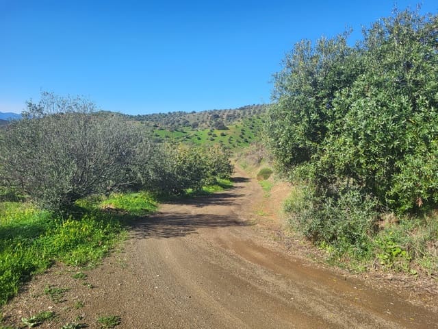 Quinta/Casa Rural para venda em Almogía - 85 000 € (Ref: 10175359)