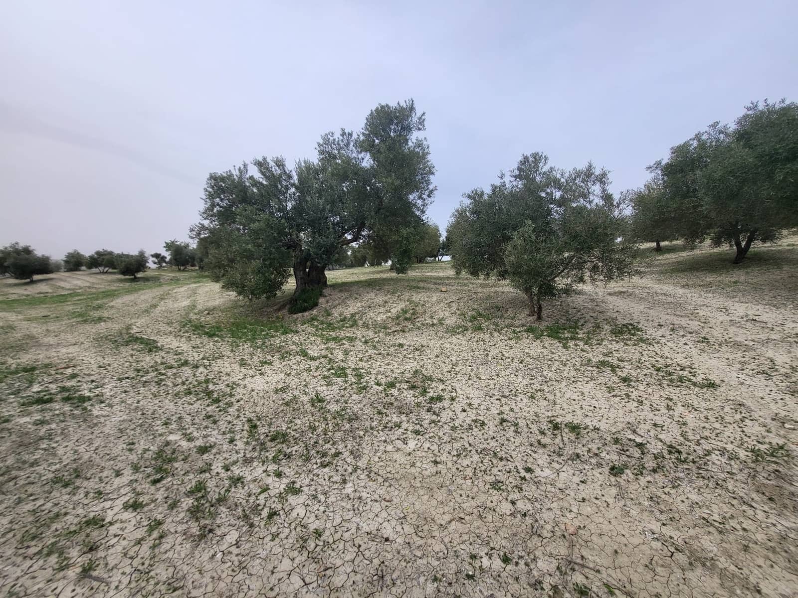 Finca/Landhuis te koop in Guevejar - € 18.500 (Ref: 10175410)