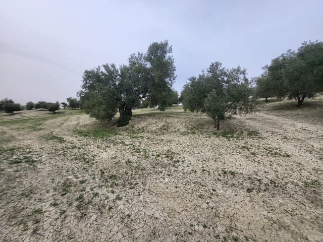 Finca/Landhuis te koop in Güevéjar - € 18.500 (Ref: 10175410)