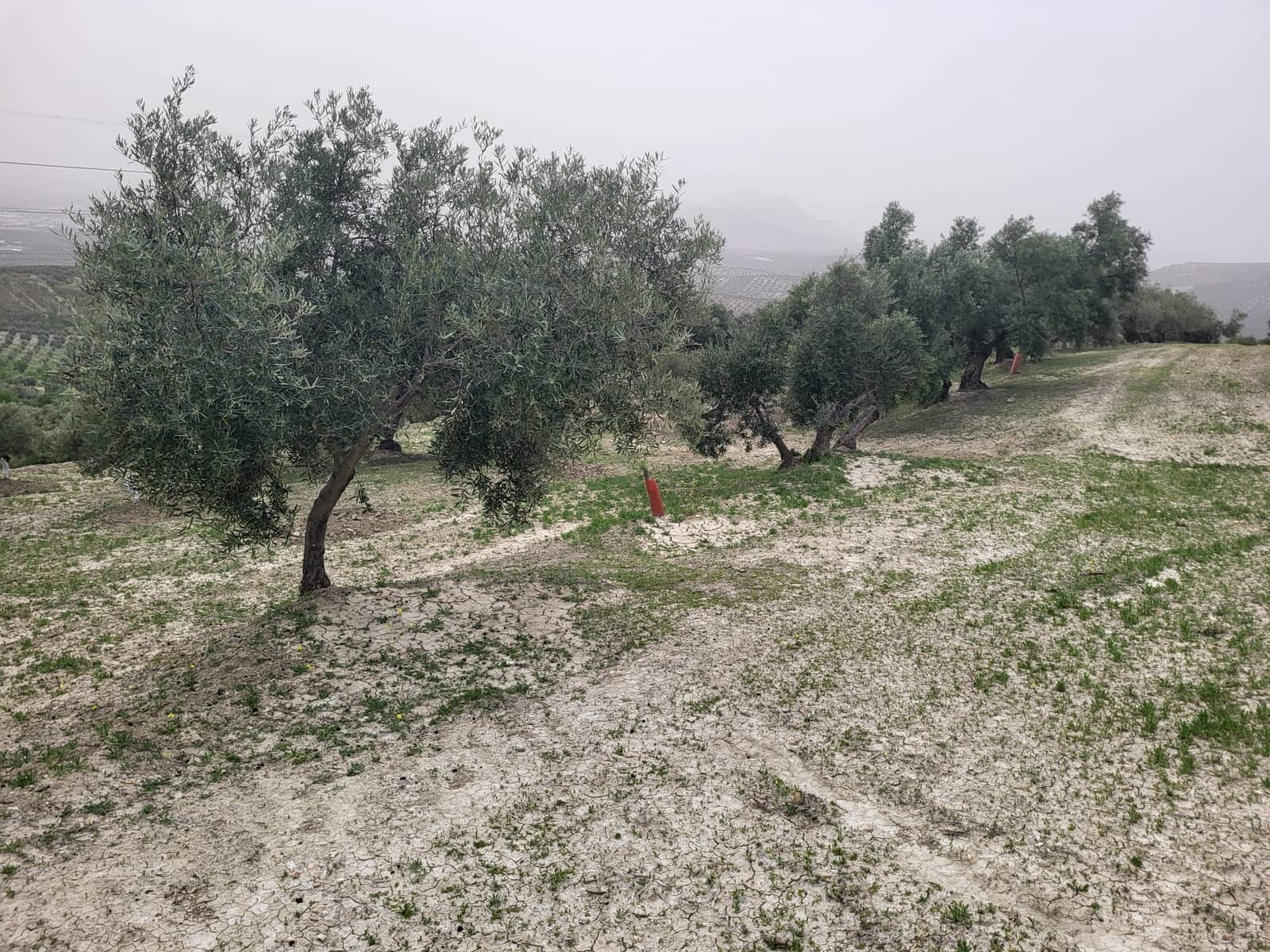 Finca/Landhuis te koop in Guevejar - € 18.500 (Ref: 10175410)
