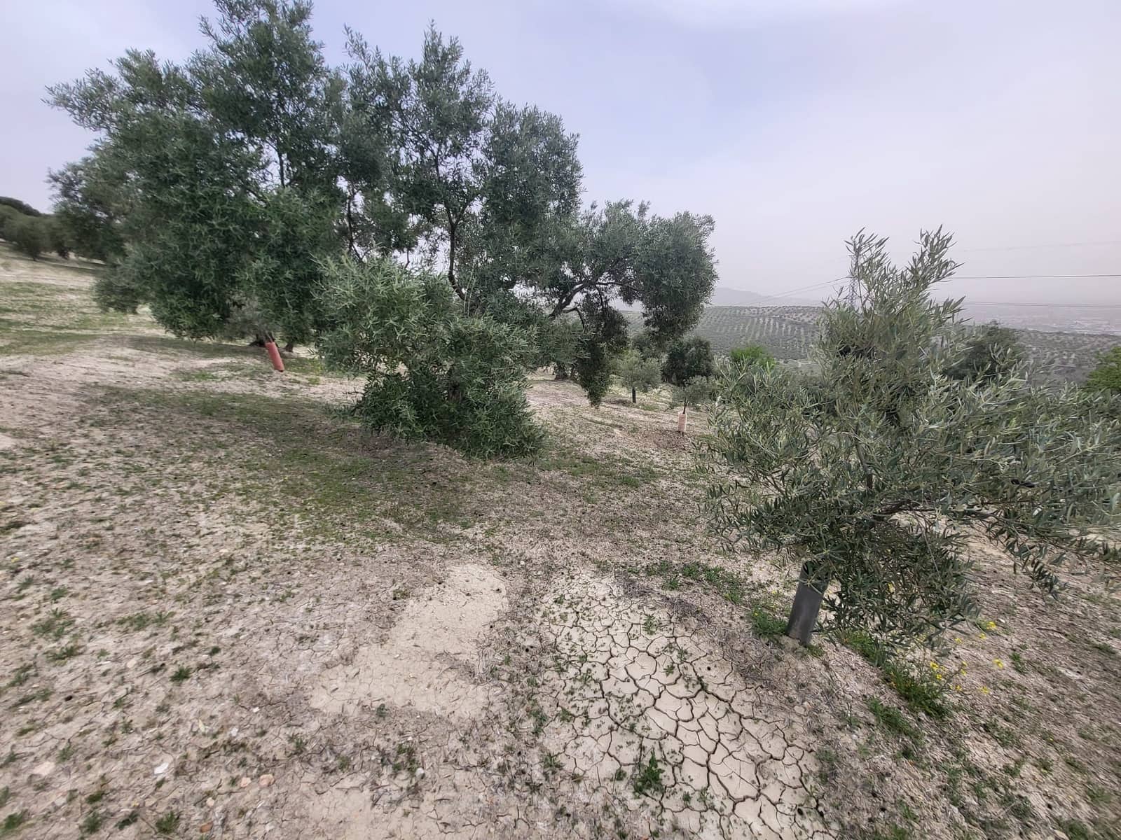 Finca/Landhuis te koop in Guevejar - € 18.500 (Ref: 10175410)