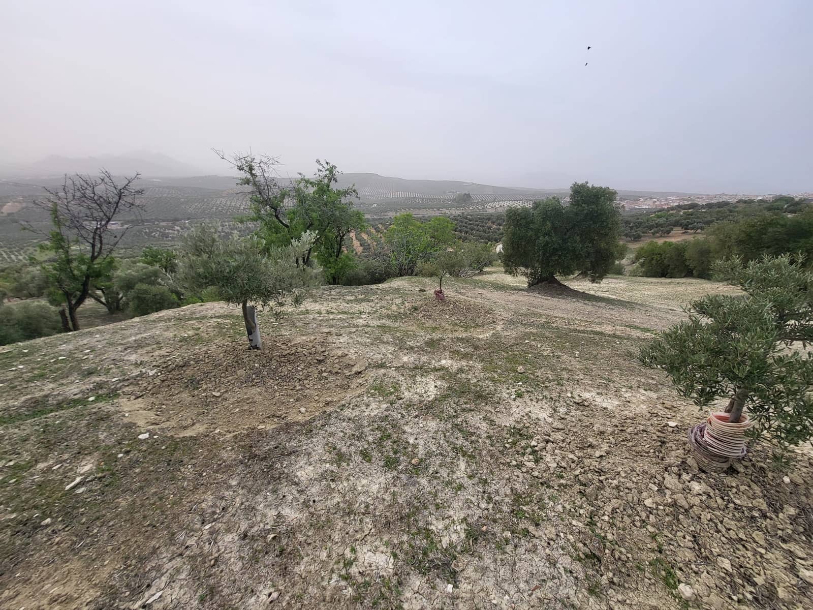 Finca/Landhuis te koop in Guevejar - € 18.500 (Ref: 10175410)