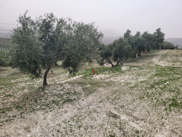 Finca/Landhuis te koop in Güevéjar - € 18.500 (Ref: 10175410)