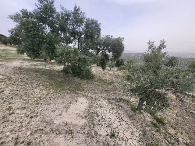 Finca/Landhuis te koop in Güevéjar - € 18.500 (Ref: 10175410)