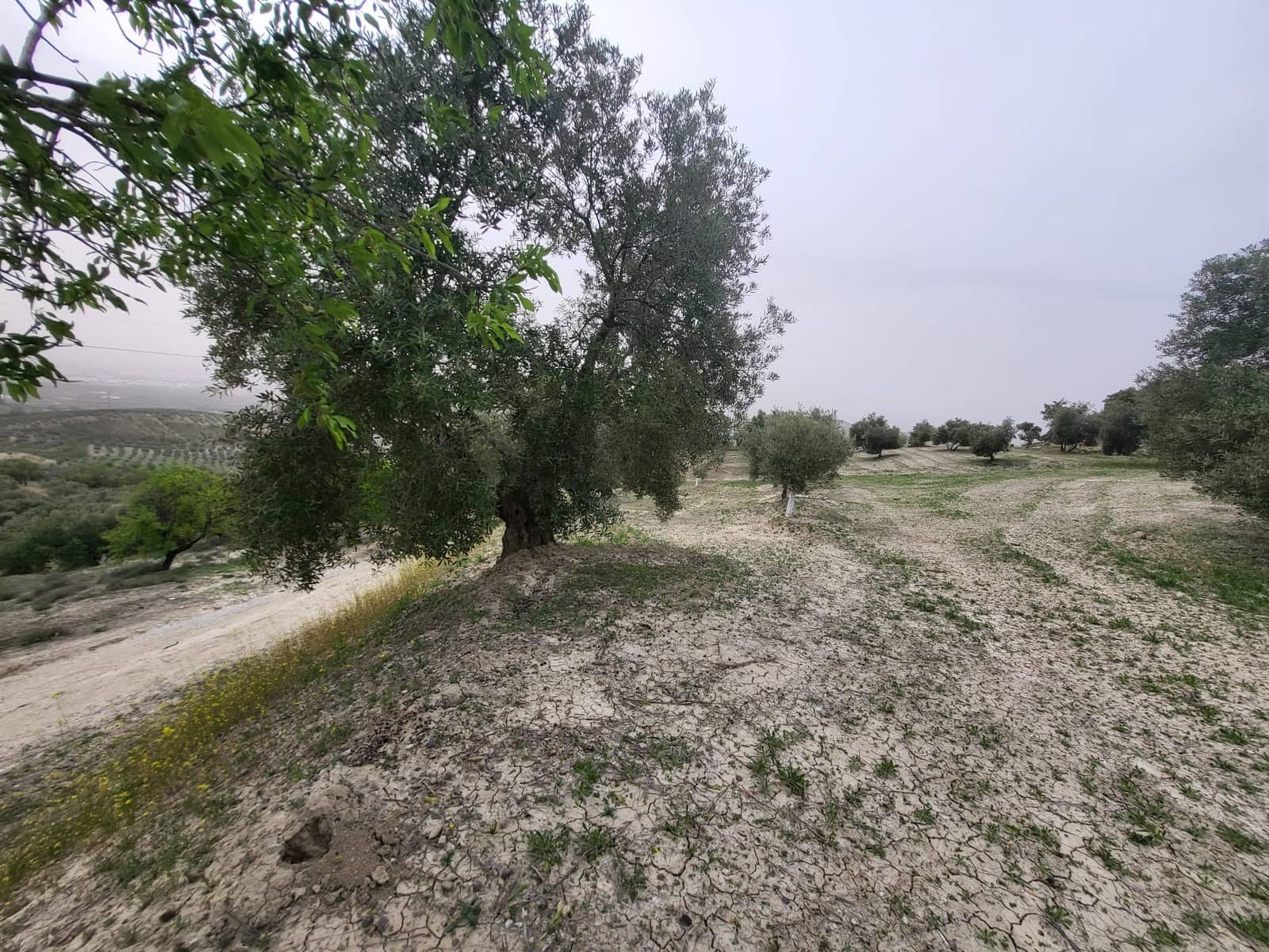 Finca/Landhuis te koop in Guevejar - € 18.500 (Ref: 10175410)