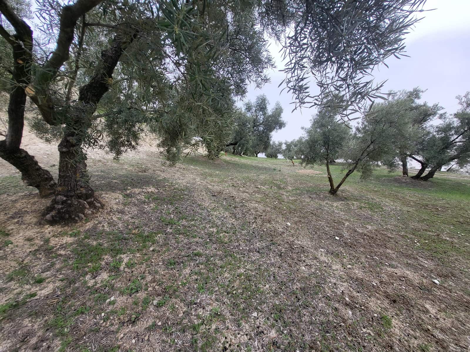 Finca/Landhuis te koop in Guevejar - € 18.500 (Ref: 10175410)
