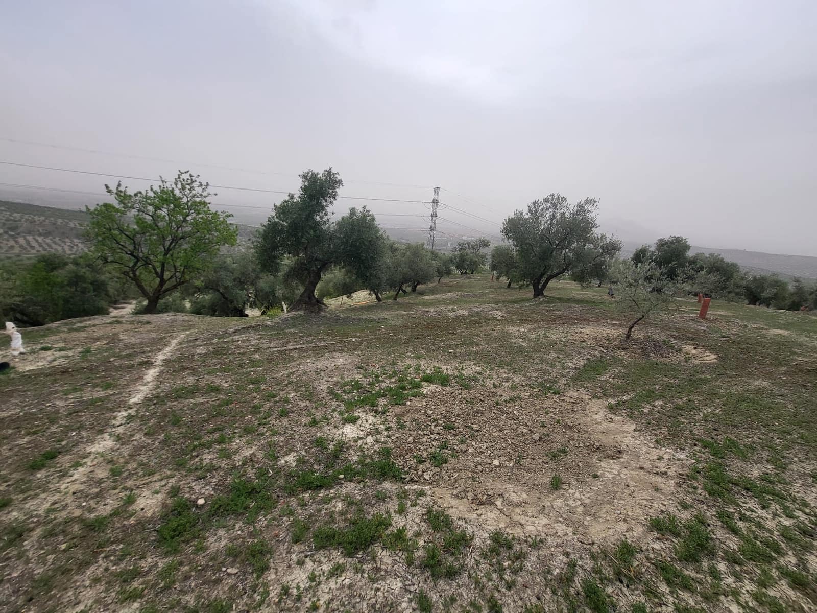 Finca/Landhuis te koop in Guevejar - € 18.500 (Ref: 10175410)
